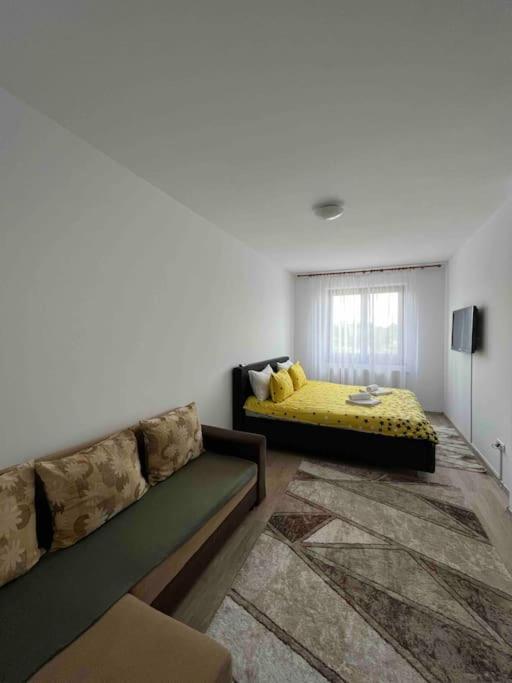 Alex 2 Apartament ياش المظهر الخارجي الصورة